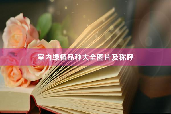 室内绿植品种大全图片及称呼
