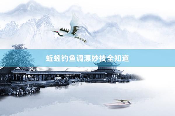 蚯蚓钓鱼调漂妙技全知道
